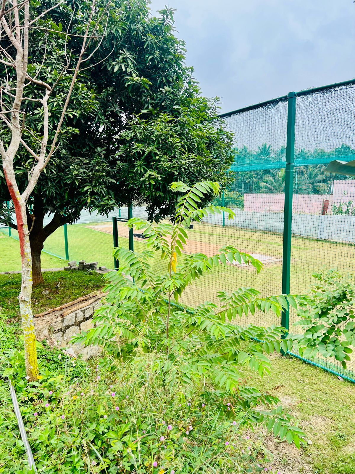 Kanakapura Property Image 15